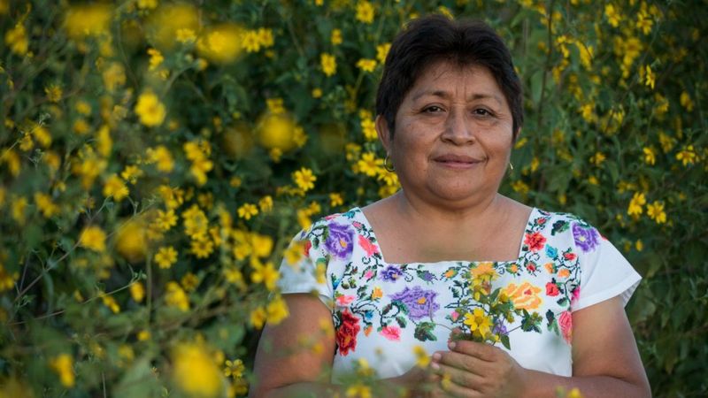 Pie de foto: Leydy Pench, defensora ambiental integrante del colectivo apícola Los Chenes en Hopelchén, Campeche.