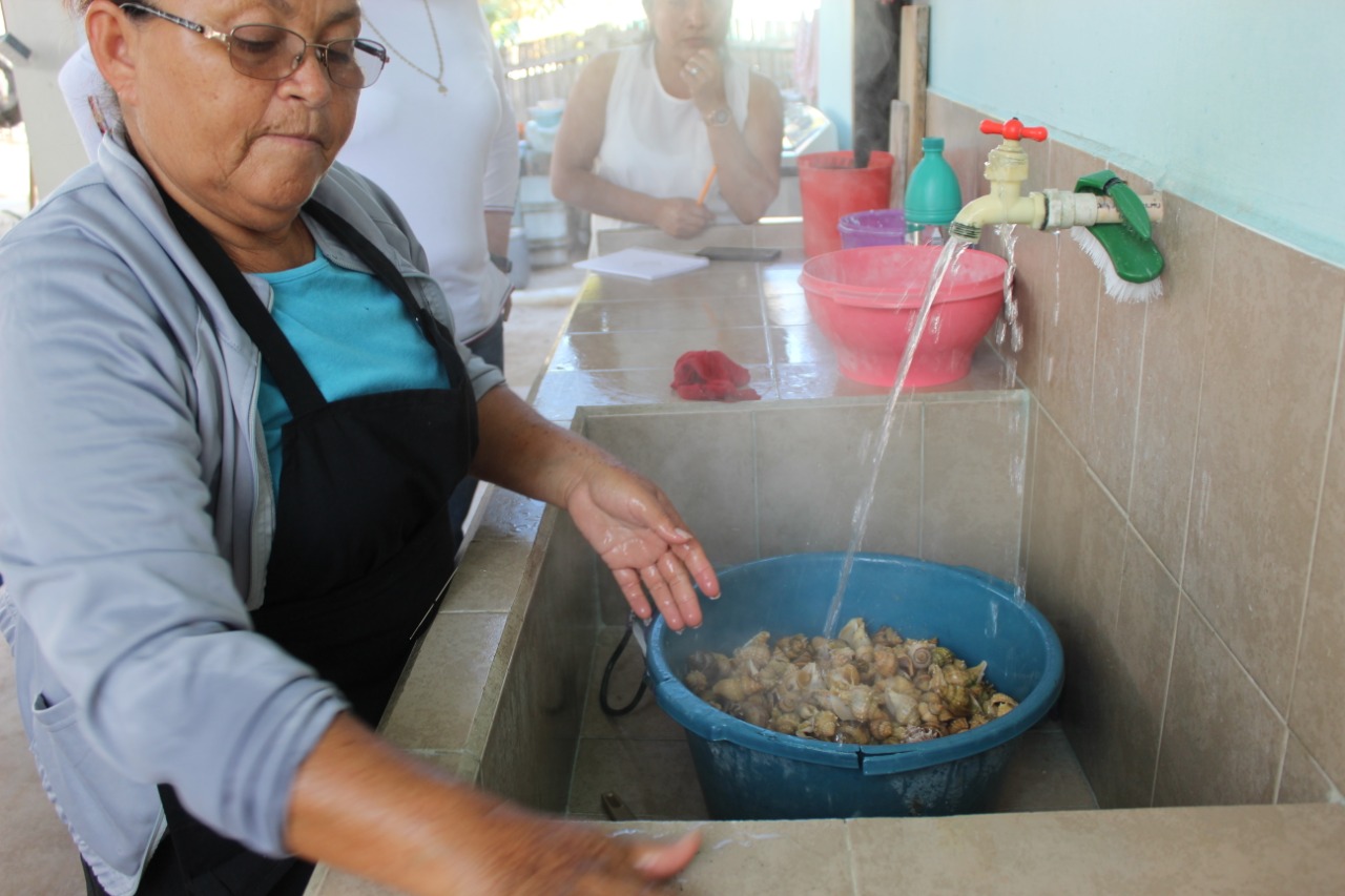 Pie de foto: Mayri lavando el caracol chivita en la Cooperativa