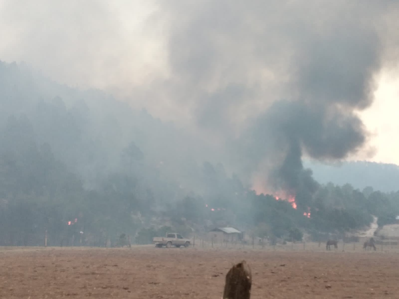 Pie de foto: Los bosques de Chihuahua son consumidos por el fuego.