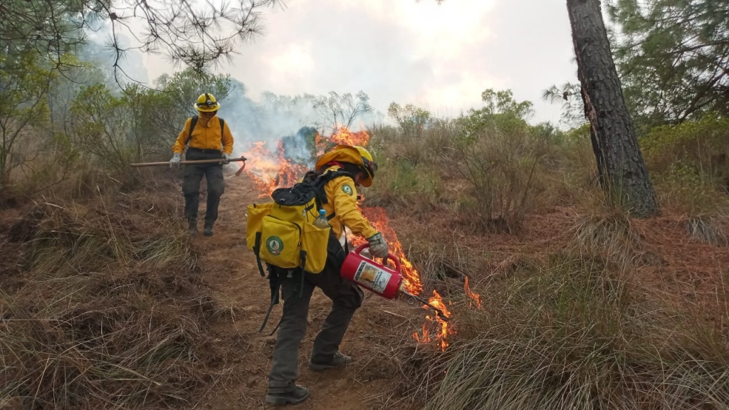 Pie de foto: Las combatientes forestales como Rosario enfrentan incendios de diferente magnitud.