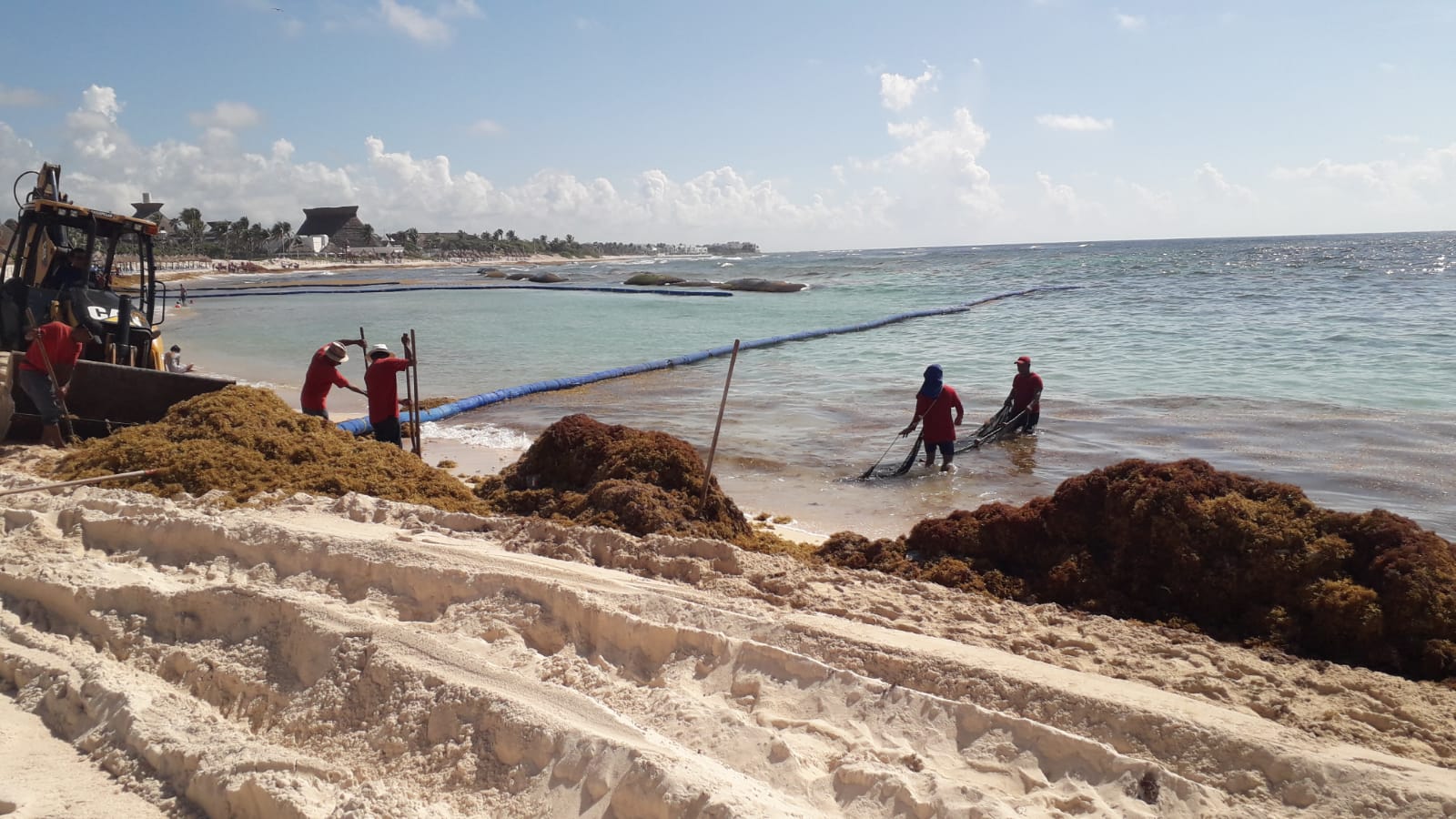 Pie de foto: Trabajadores recolectan el sargazo en Playa del Carmen.