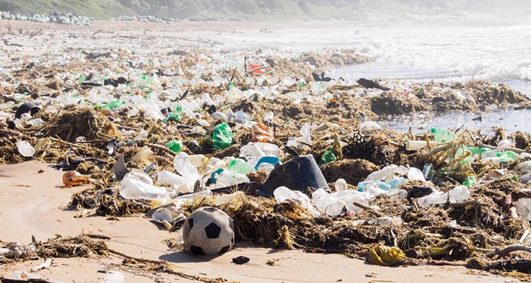 Pie de foto: Acumulación de basura plástica Crédito: WWF