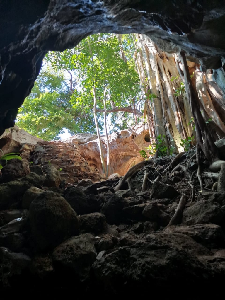 Pie de foto: El cenote Santa María tiene una entrada estrecha.