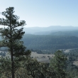 Autoriza Semarnat tala en bosque de Durango con permisos irregulares