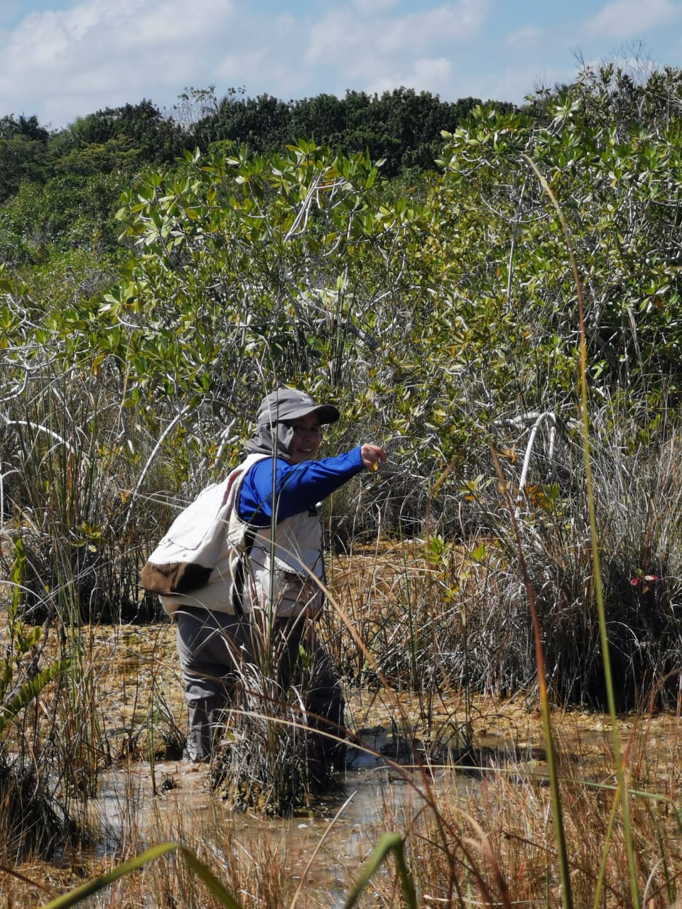 Pie de foto: Claudia en trabajo de campo para restaurar el manglar. Foto: Especial