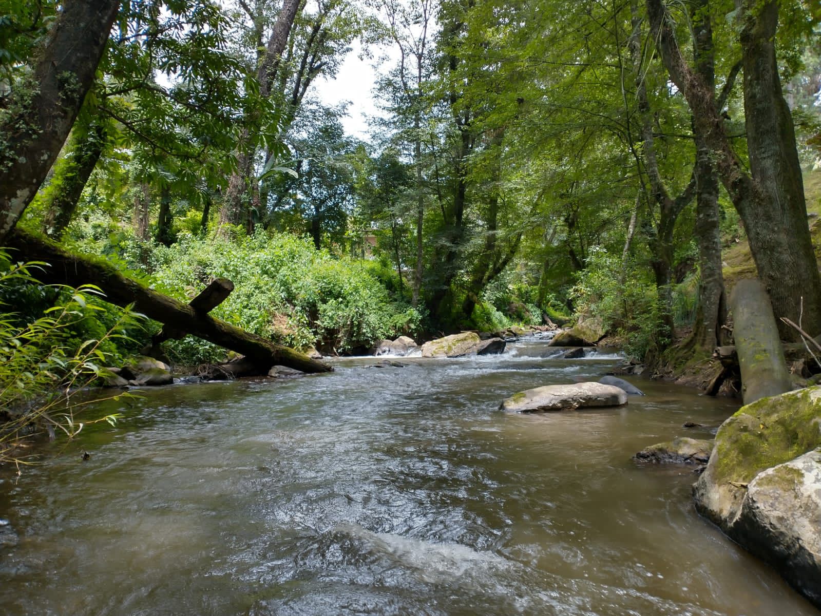 Pie de foto: Los manantiales del Área Natural Protegida de Valle de Bravo son esenciales para garantizar el abasto hídrico. Crédito: OCSVBA