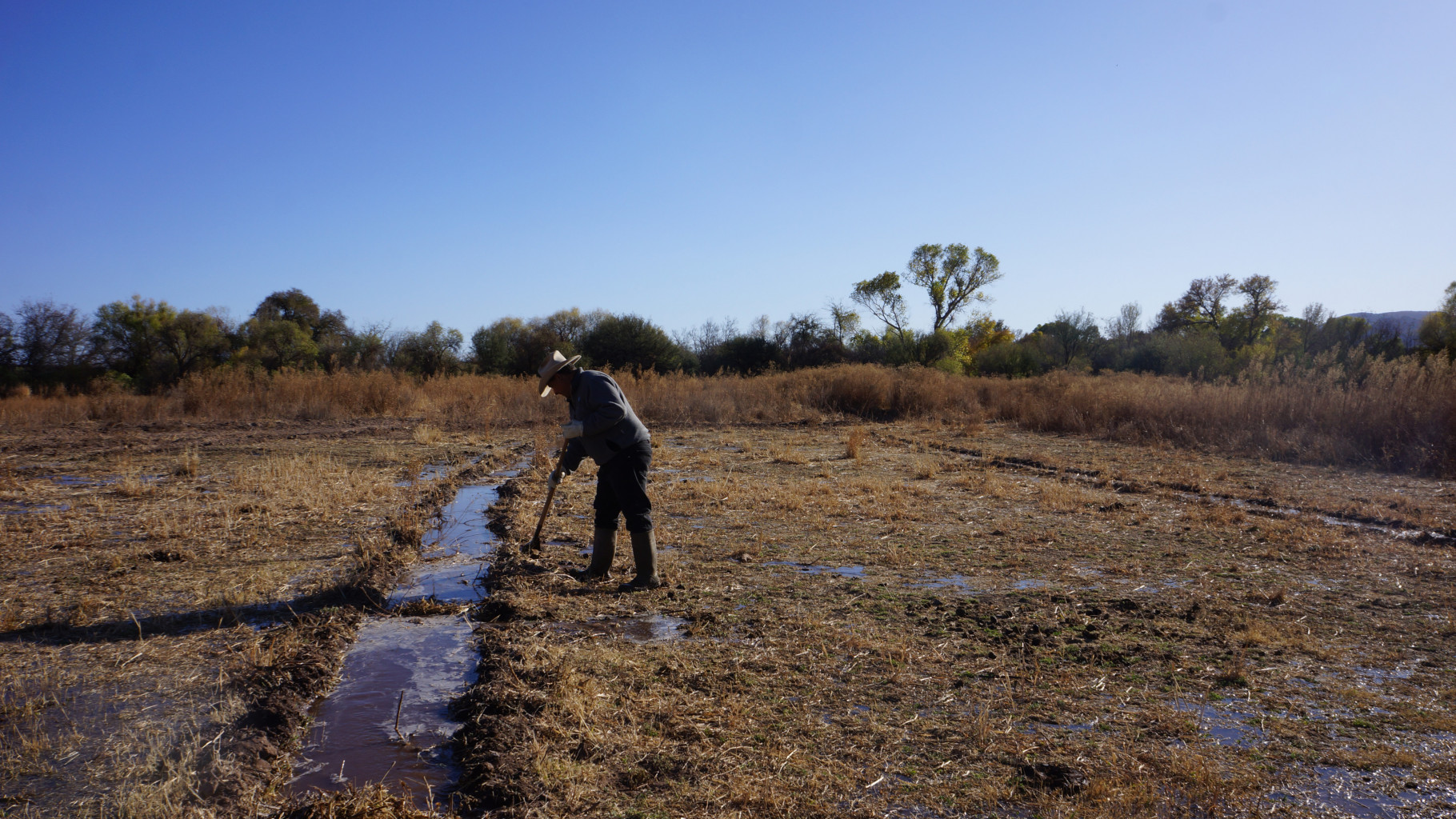Pie de foto: El agua del Río Sonora es fundamental para la agricultura en la región. Crédito: PODER 