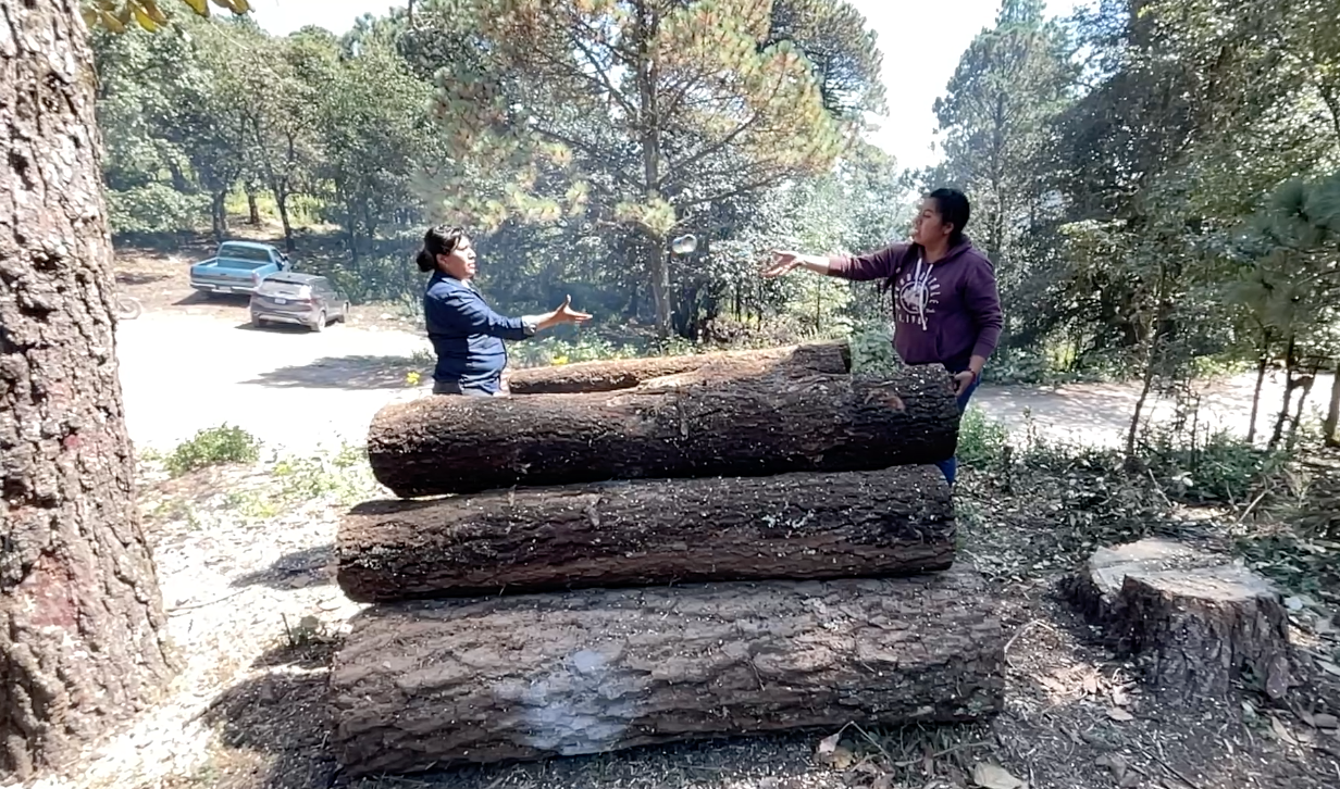 Pie de foto: María Ana y Anahí comparten las tareas de embarque de madera. Crédito: Evlyn.Online