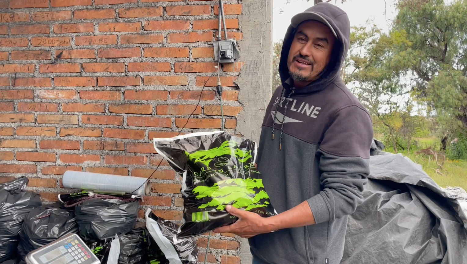 Pie de foto: El carbón vegetal es comercializado en Guanajuato. Crédito de foto: Evlyn.Onine
