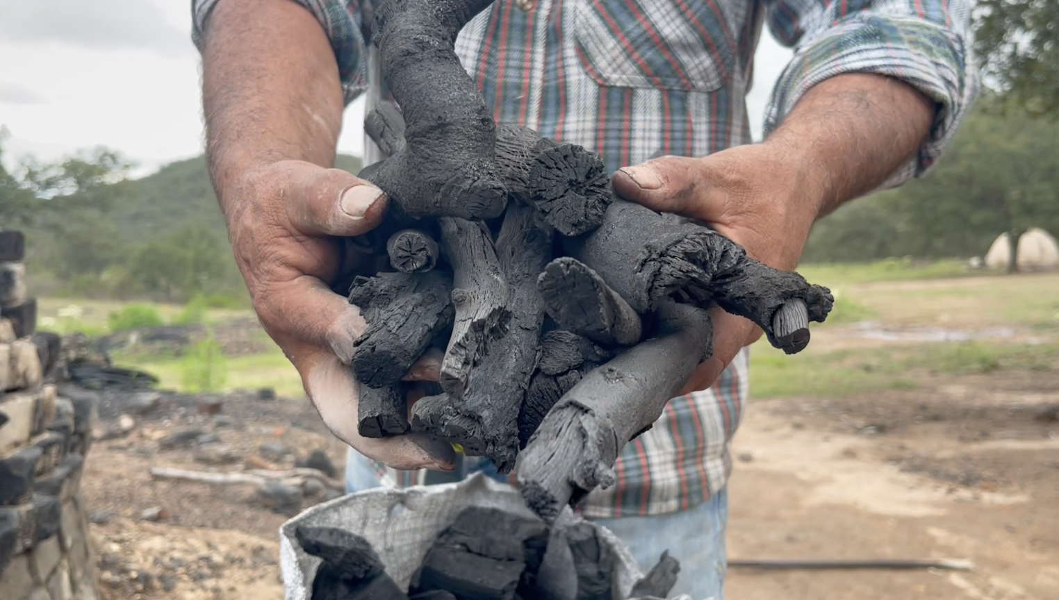 Pie de foto: La producción de carbón es el principal aprovechamiento del ejido. Crédito de foto: Evlyn.Online