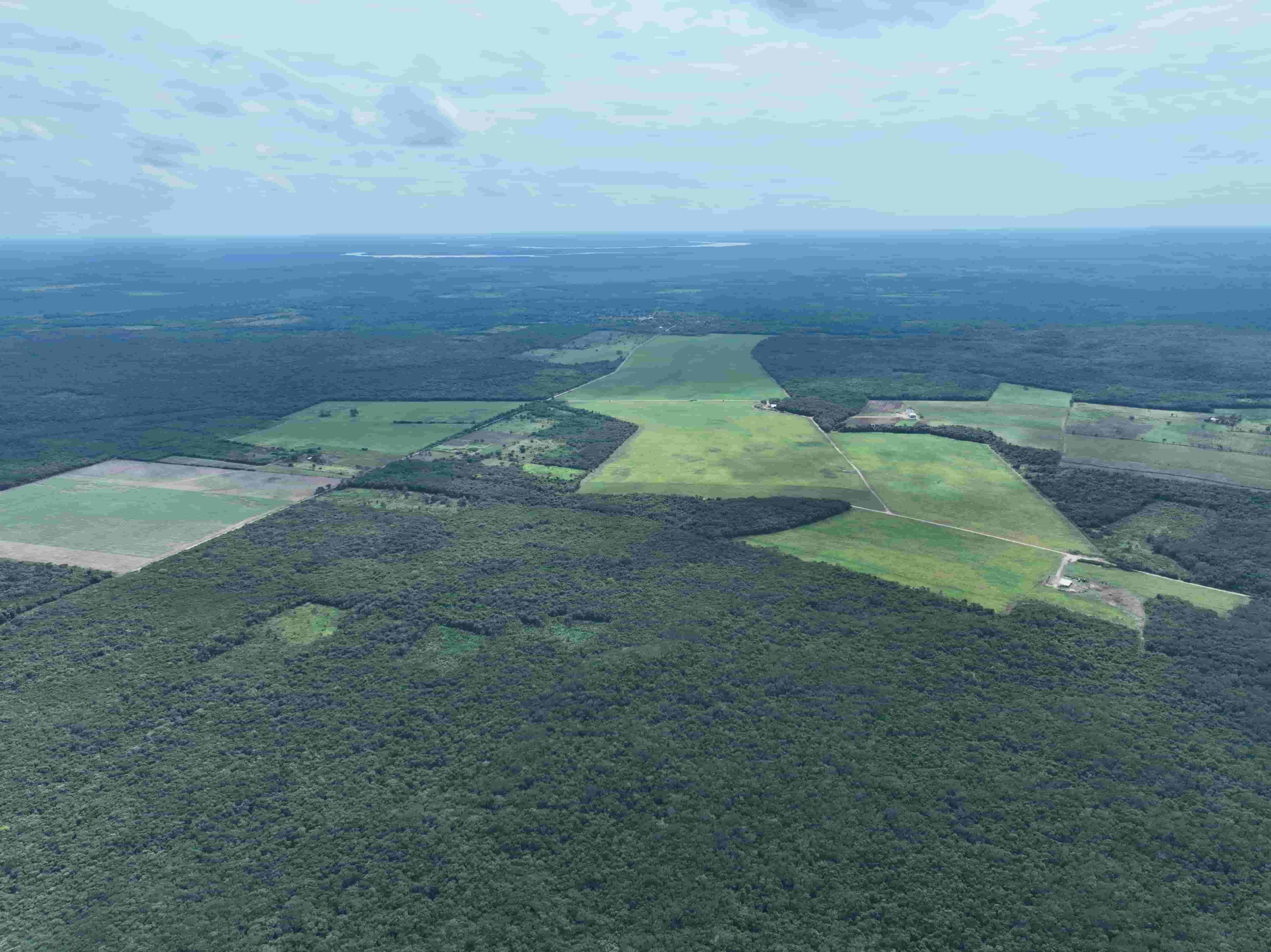 Vista panorámica de la deforestación que enfrenta la Península de Yucatán.