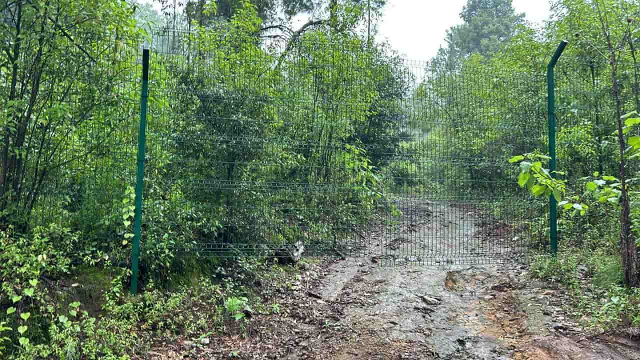 El Rancho San Jorge tiene un perímetro definido por una valla verde metálica. Crédito: Evlyn.Online