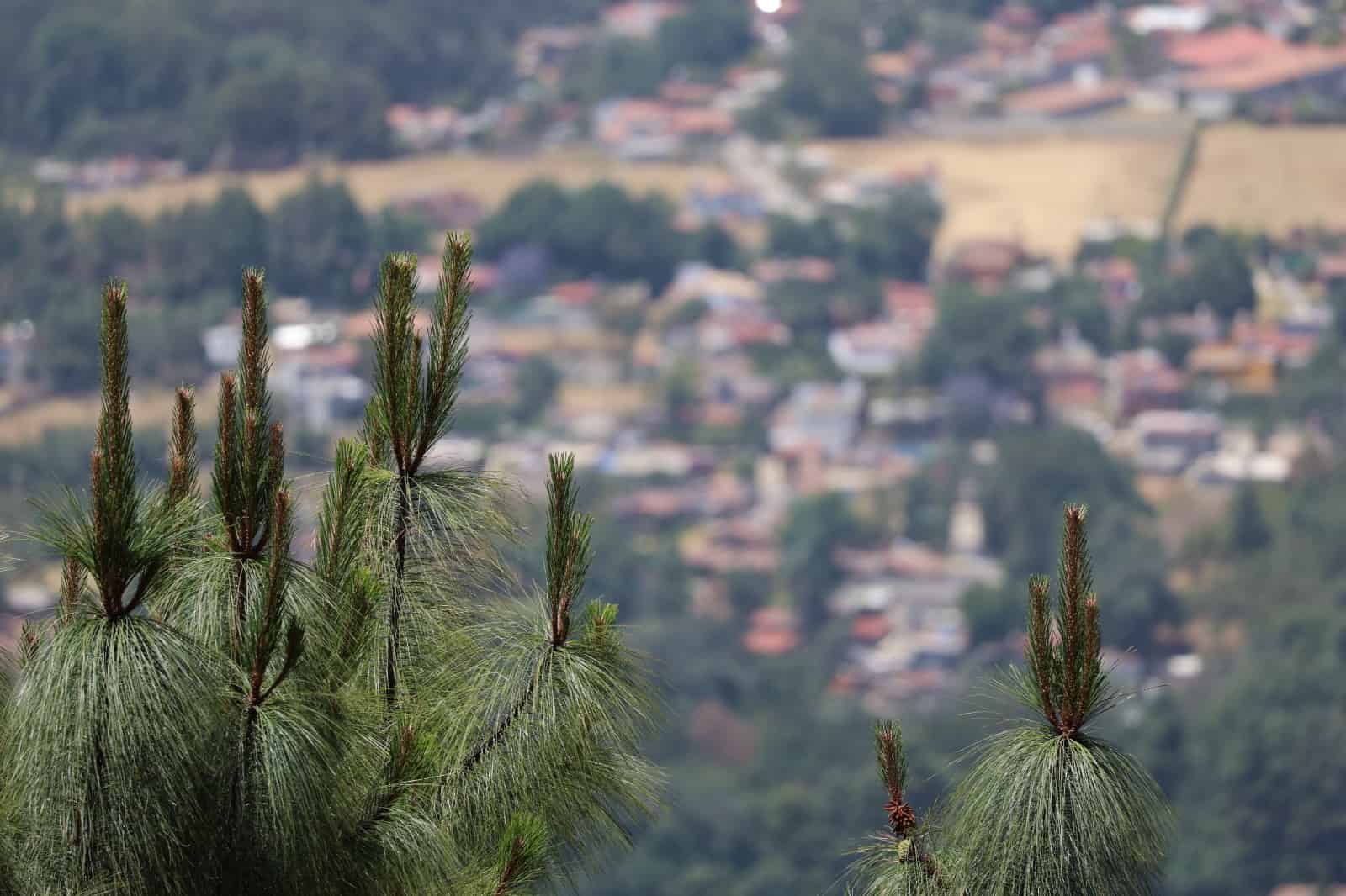 El Rancho San Jorge quedó en medio de dos comunidades. Crédito:Evlyn.Online