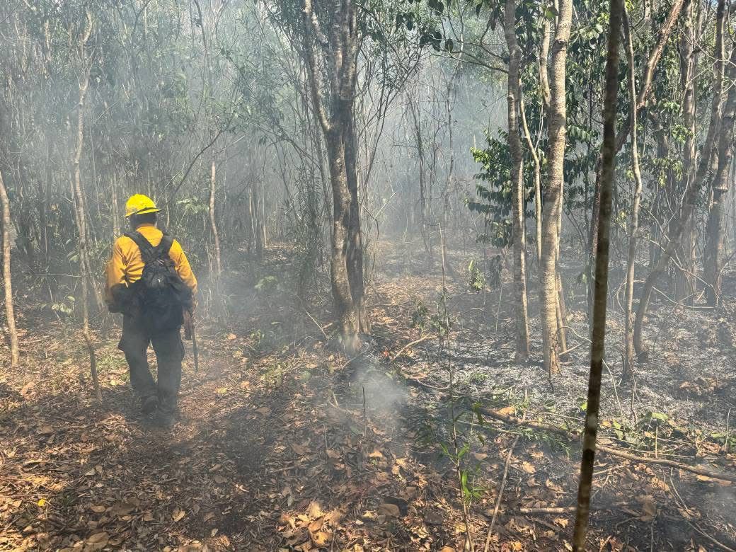 Los combatientes arriesgan su vida mientras salvaguardan los ecosistemas forestales.