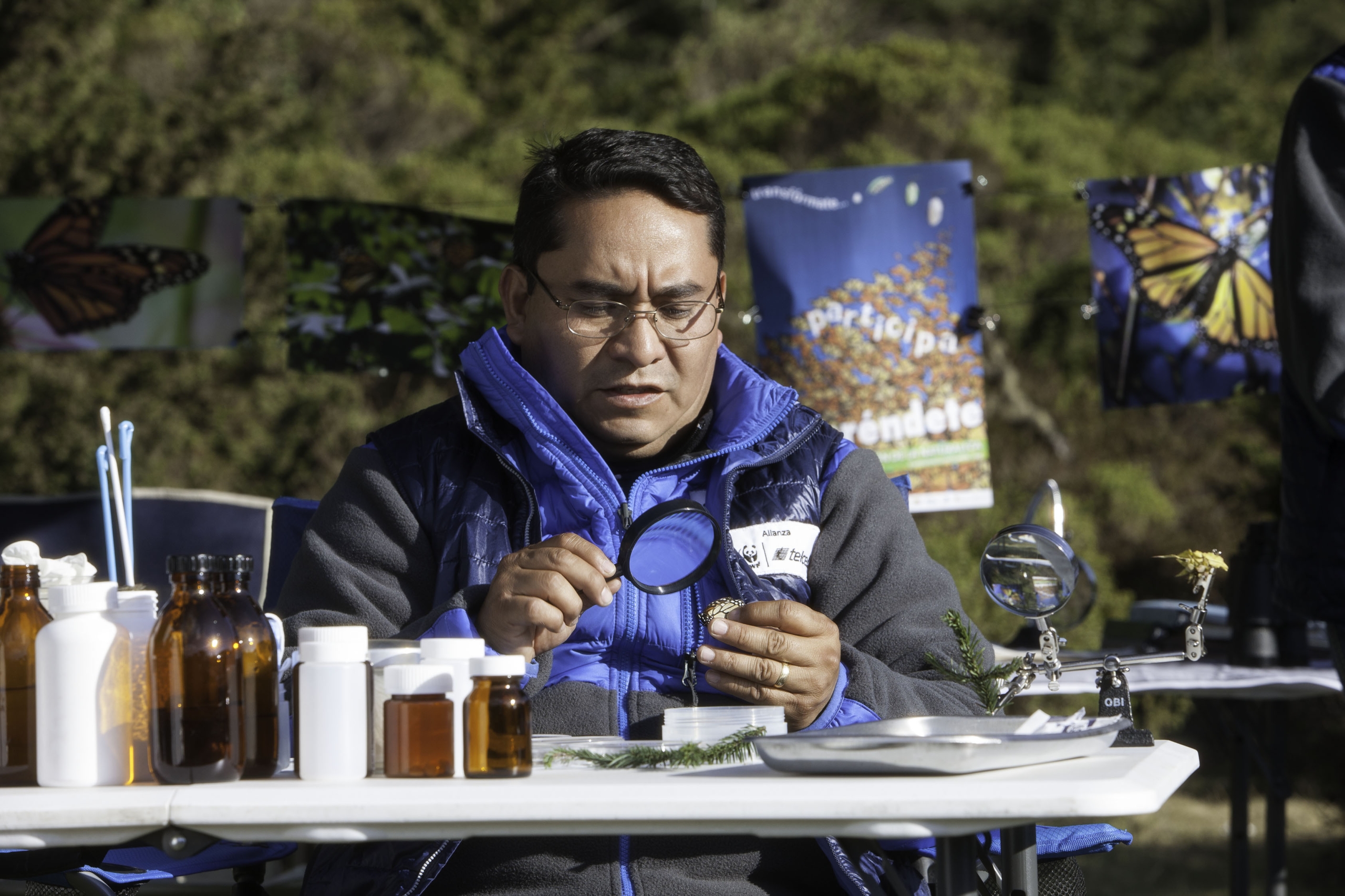 Eduardo Rendón Salinas tiene más de 30 años estudiando la monarca.