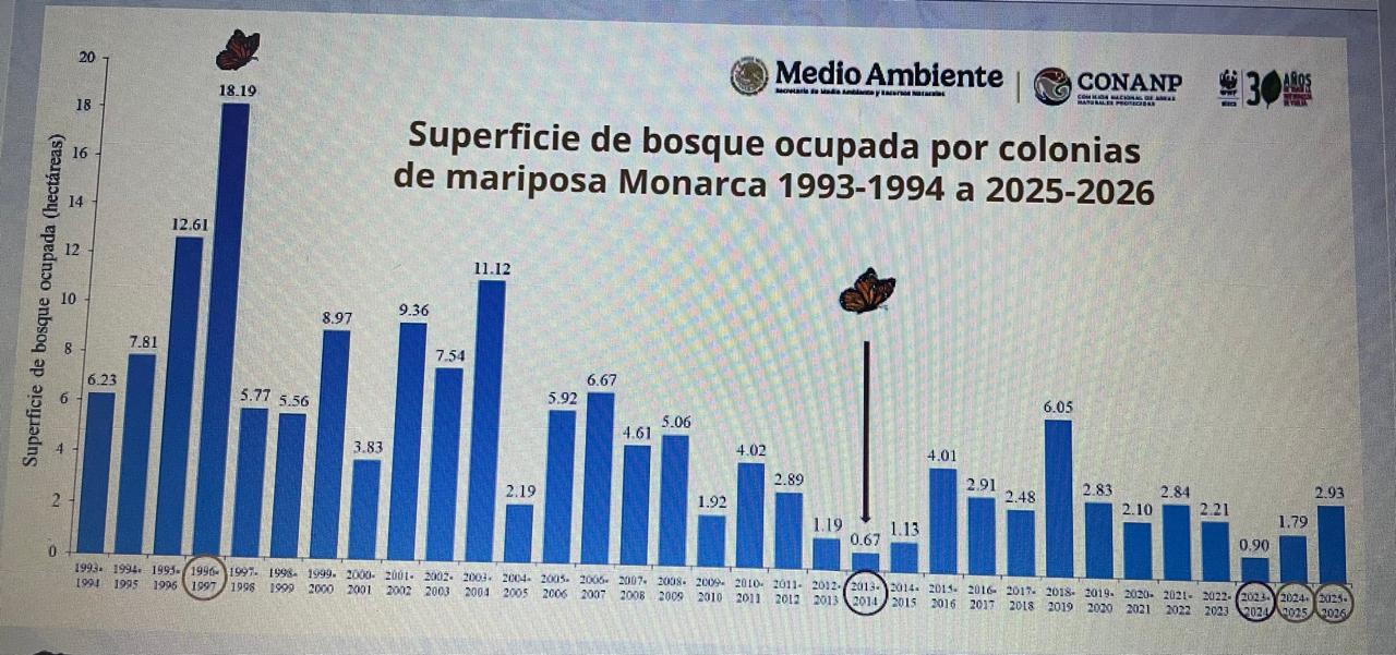 Superficie de bosque ocupada por mariposa monarca.